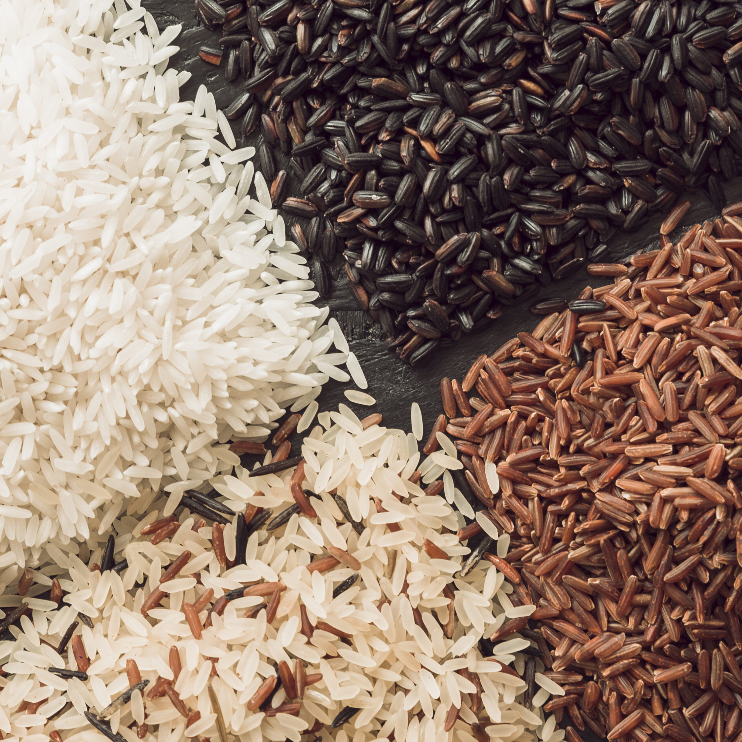 variety-rice-grains-background