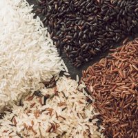variety-rice-grains-background variety-rice-grains-background